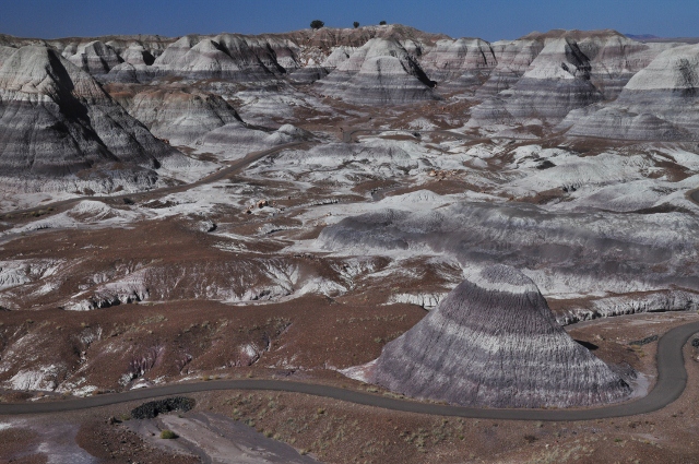 The Blue Mesa Trail